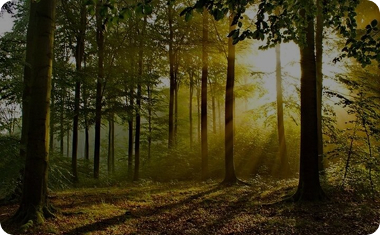 Rivière sacrée de Nikki